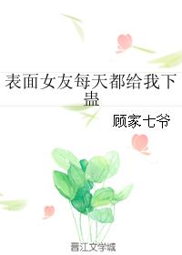 沈从安叶清清完结版小说